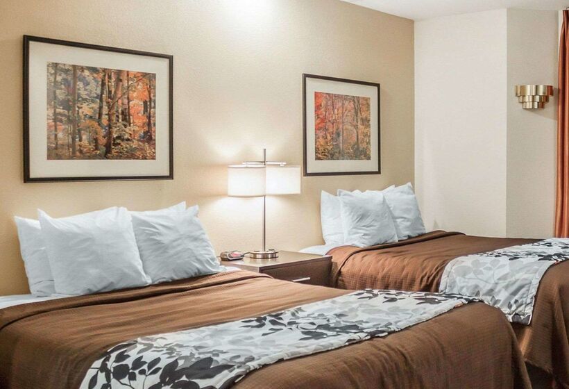 فندق Rodeway Inn Airport