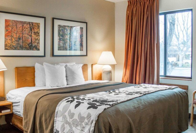 فندق Rodeway Inn Airport