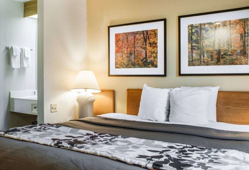 فندق Rodeway Inn Airport