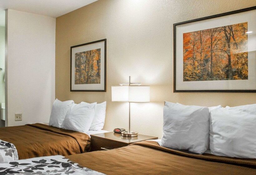 فندق Rodeway Inn Airport