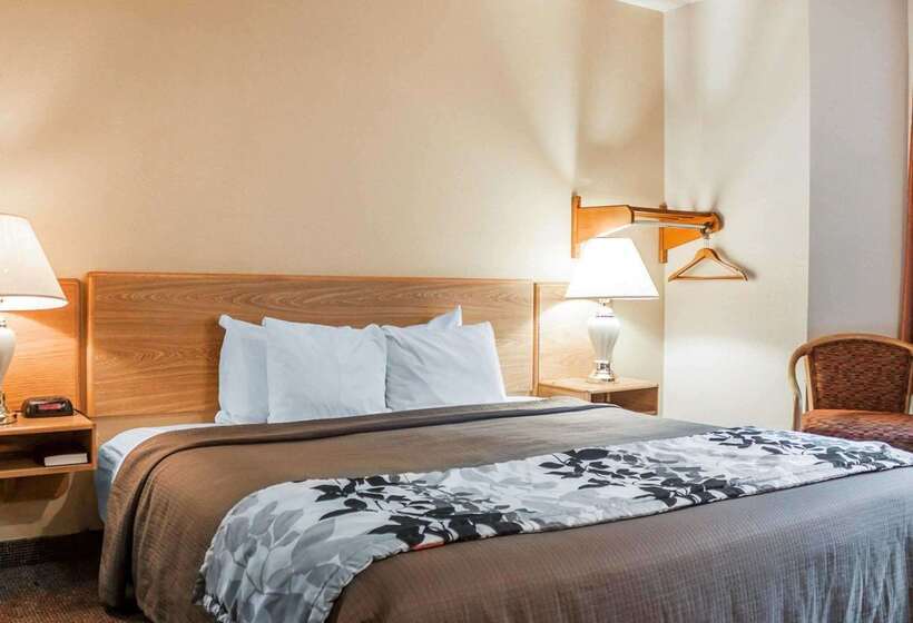 فندق Rodeway Inn Airport