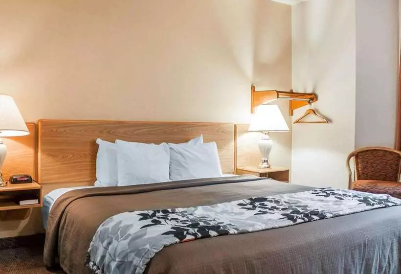 Отель Rodeway Inn Airport