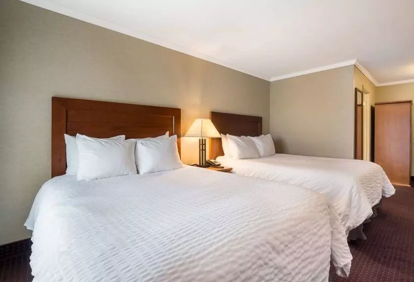 리조트 Best Western Plus Norwester Hotel & Conference Centre