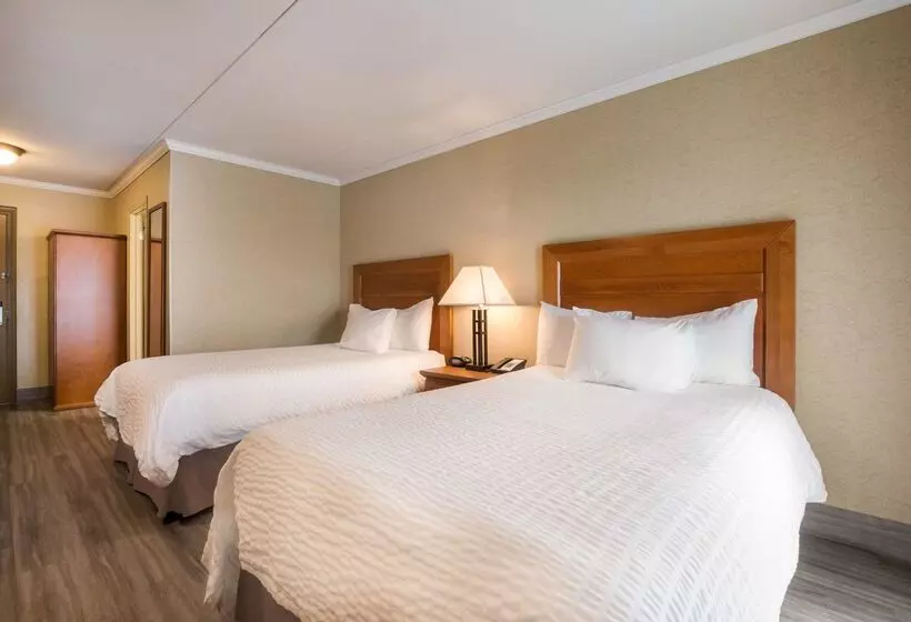 리조트 Best Western Plus Norwester Hotel & Conference Centre