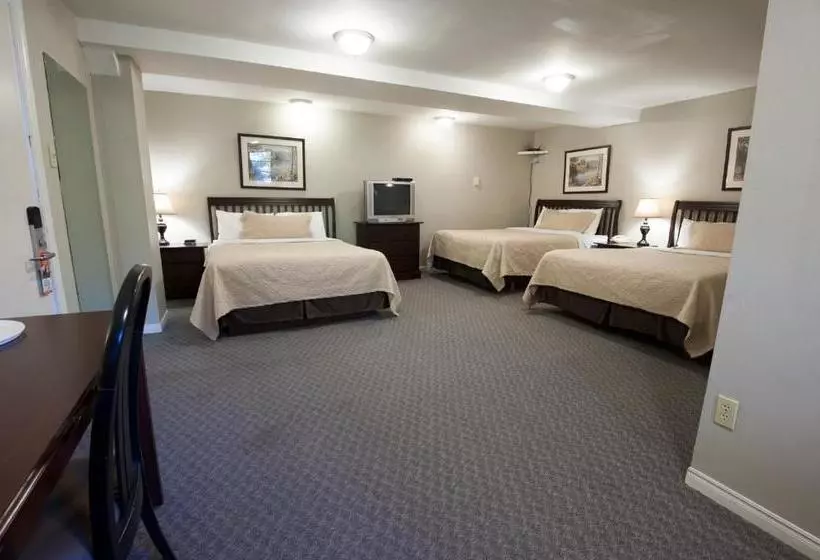 호텔 Bluenose Inn And Suites