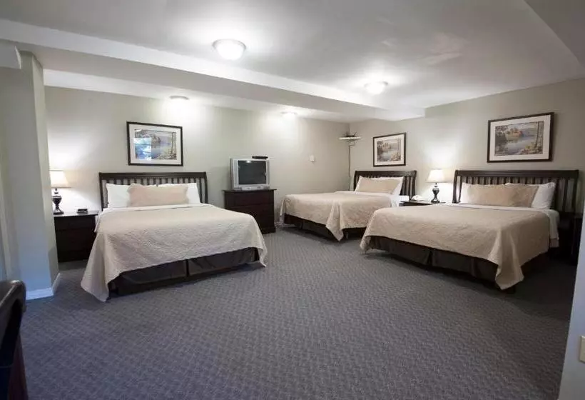 호텔 Bluenose Inn And Suites