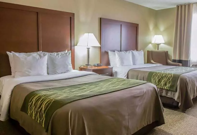 ホテル Comfort Inn Morris I80