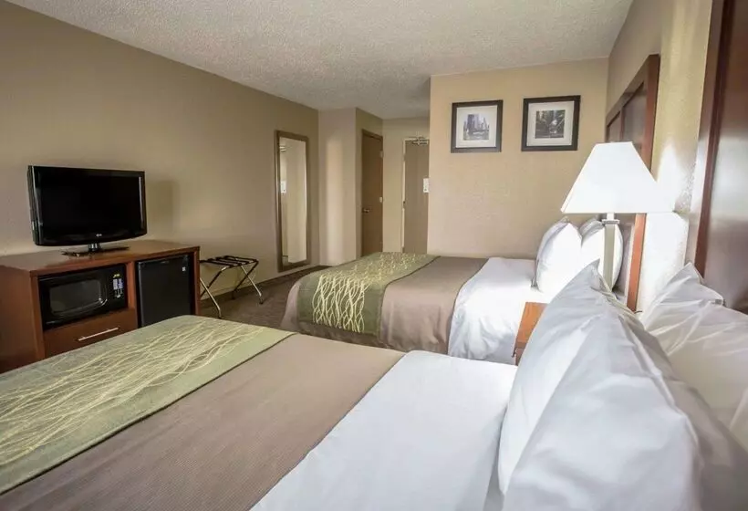 ホテル Comfort Inn Morris I80