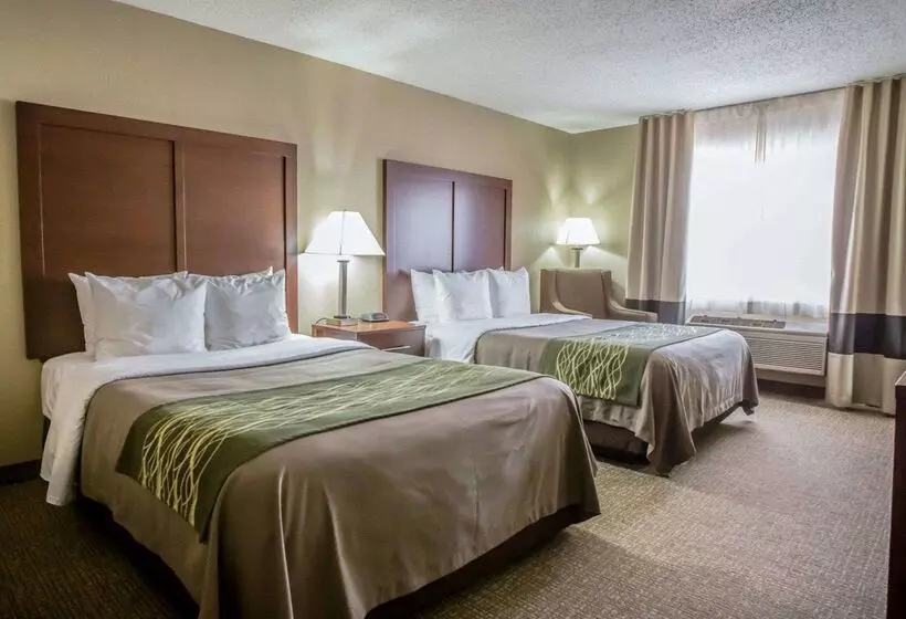 ホテル Comfort Inn Morris I80