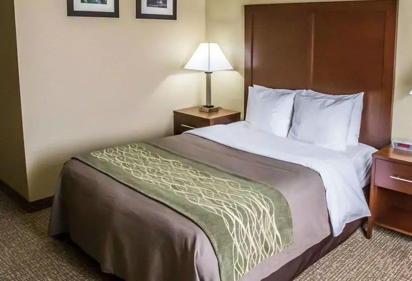 ホテル Comfort Inn Morris I80