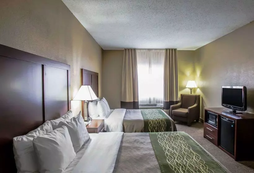 ホテル Comfort Inn Morris I80