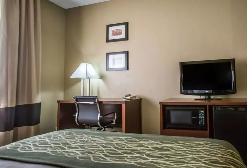 ホテル Comfort Inn Morris I80