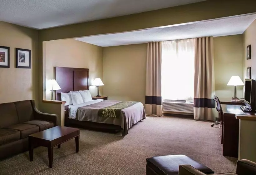 ホテル Comfort Inn Morris I80