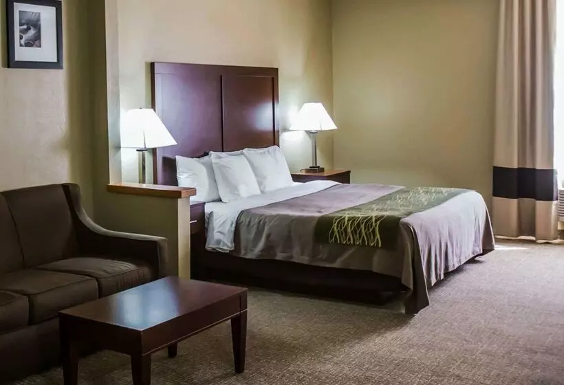 ホテル Comfort Inn Morris I80