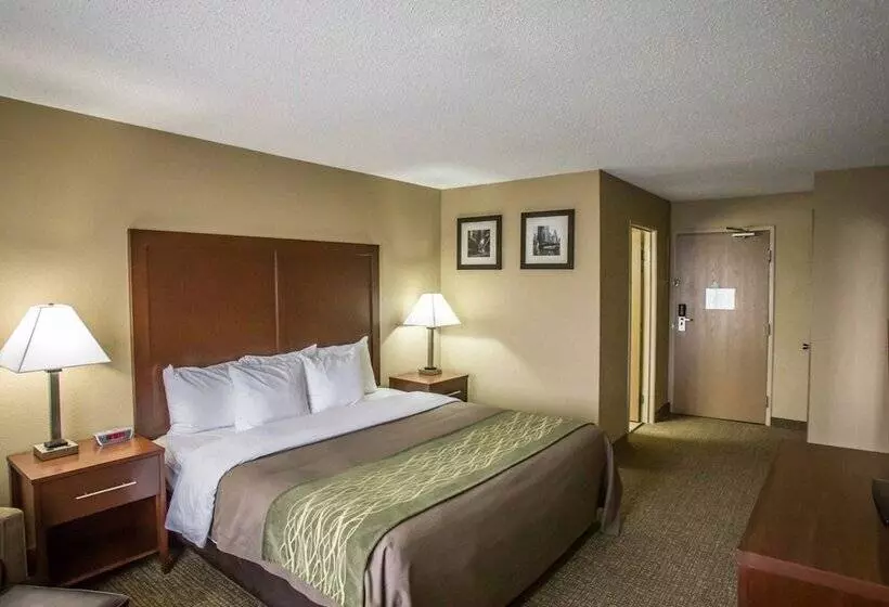 ホテル Comfort Inn Morris I80