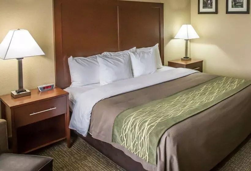 ホテル Comfort Inn Morris I80