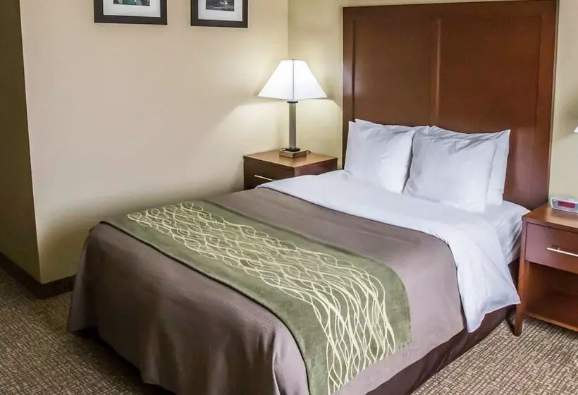 ホテル Comfort Inn Morris I80
