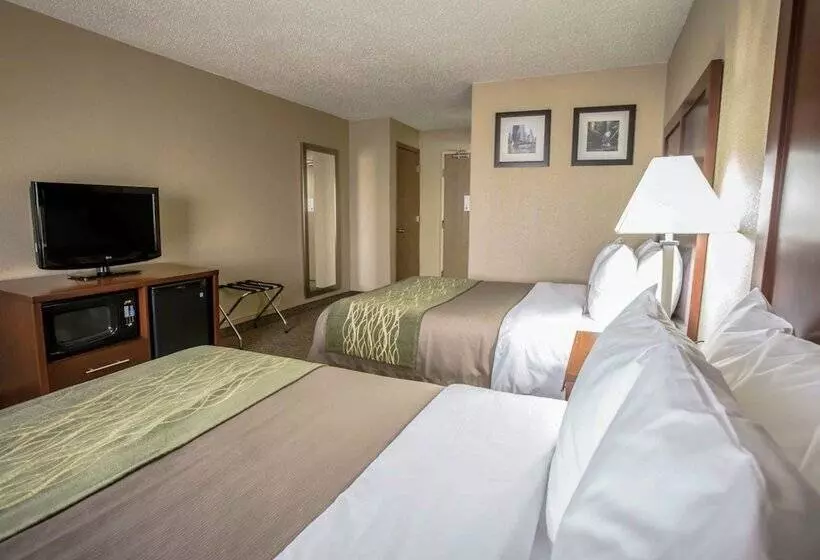ホテル Comfort Inn Morris I80