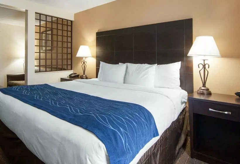 호텔 Comfort Inn Oak Ridge Knoxville