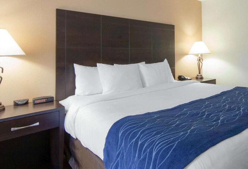 호텔 Comfort Inn Oak Ridge Knoxville