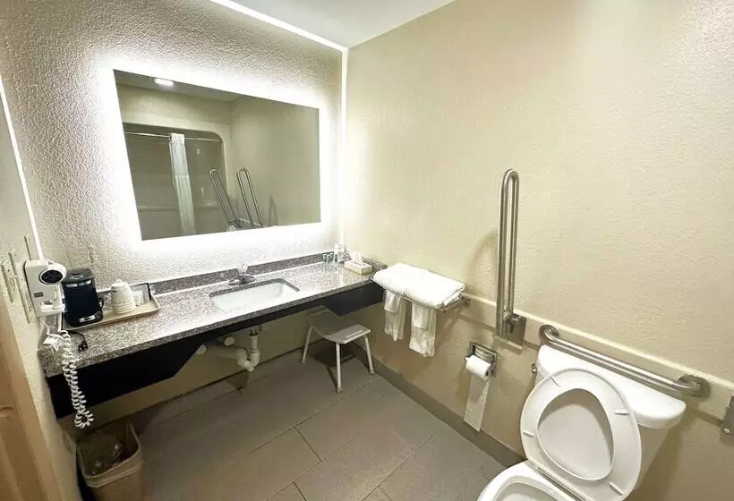 هتل Surestay Plus By Best Western Reading North