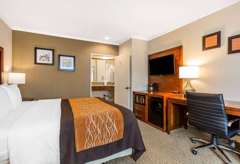בית מלון כפרי Comfort Inn Santa Monica  West Los Angeles