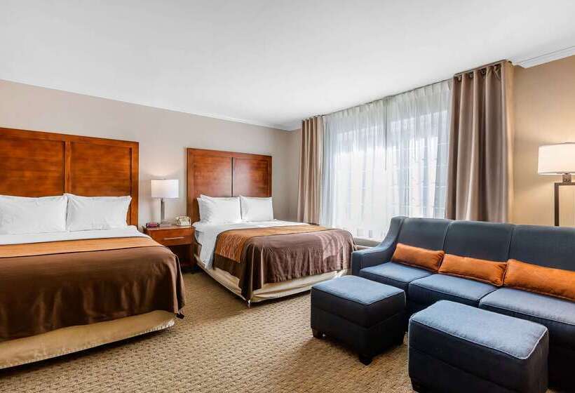 בית מלון כפרי Comfort Inn Santa Monica  West Los Angeles