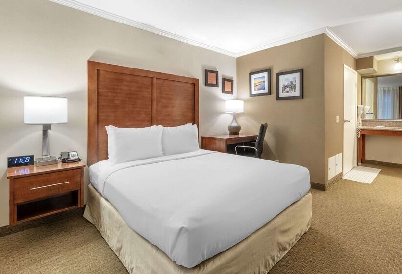 בית מלון כפרי Comfort Inn Santa Monica  West Los Angeles