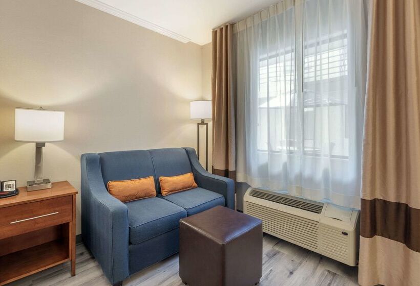 בית מלון כפרי Comfort Inn Santa Monica  West Los Angeles