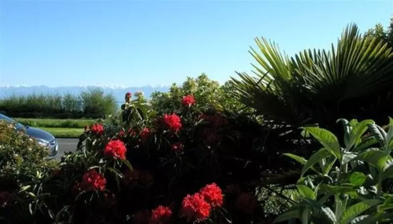 Отель Dashwood Manor Seaside Bed & Breakfast