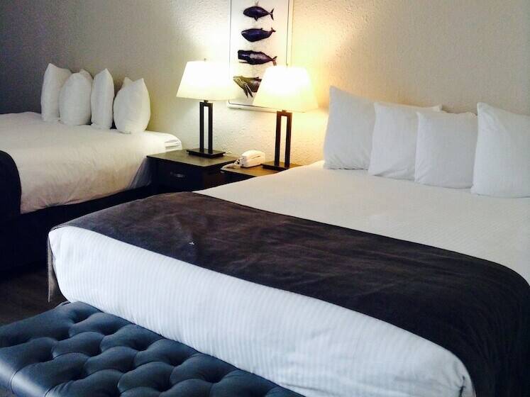 酒店 Driftwood Inn