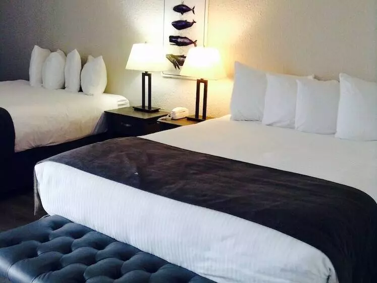 בית מלון כפרי Driftwood Inn