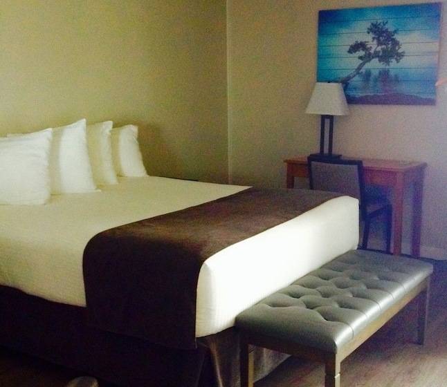 酒店 Driftwood Inn