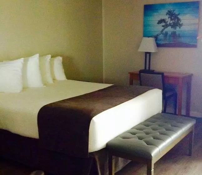 בית מלון כפרי Driftwood Inn