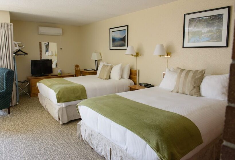 酒店 Driftwood Inn