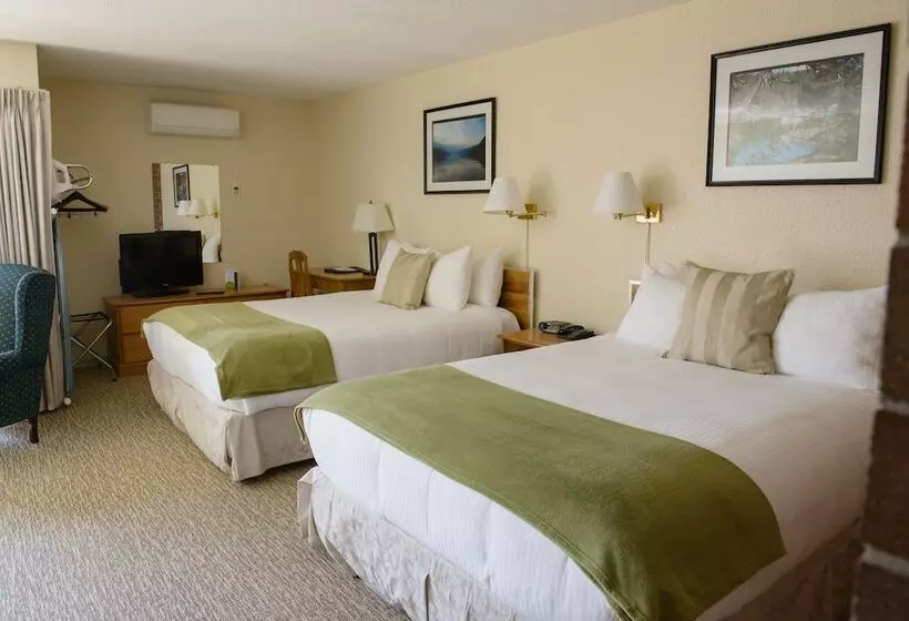 בית מלון כפרי Driftwood Inn