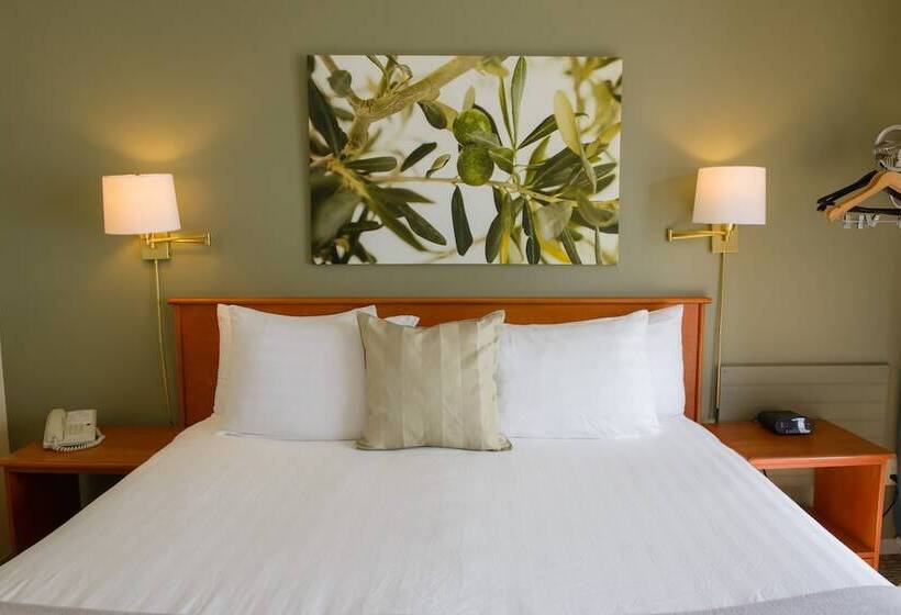 酒店 Driftwood Inn