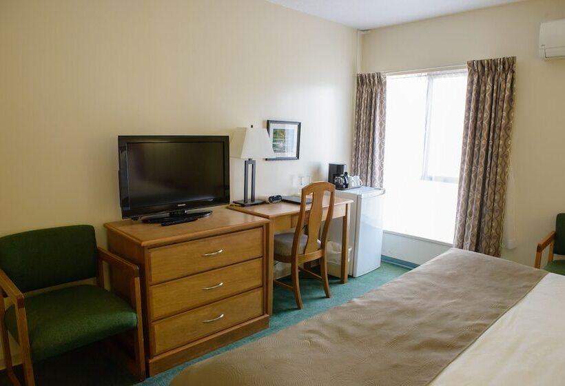 酒店 Driftwood Inn