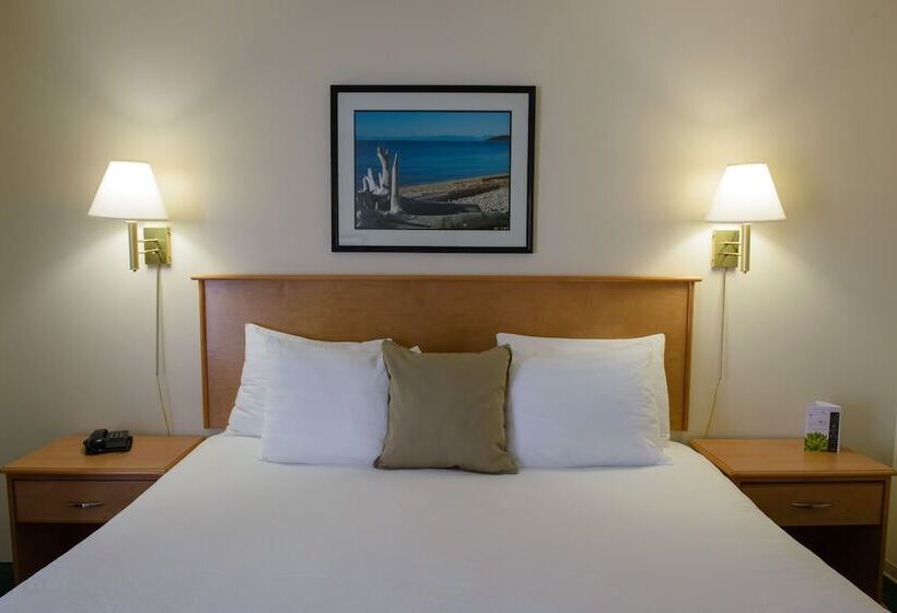 酒店 Driftwood Inn