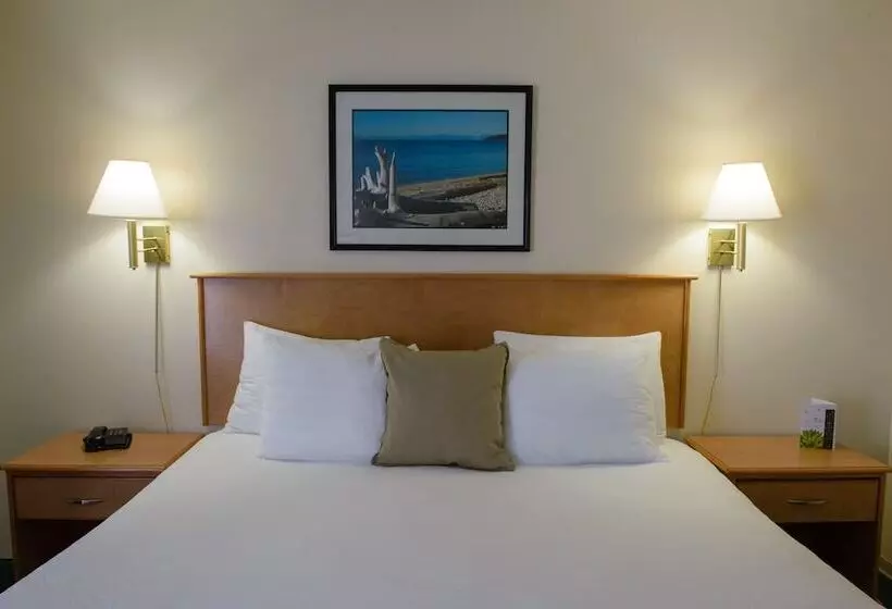 בית מלון כפרי Driftwood Inn