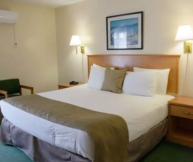 בית מלון כפרי Driftwood Inn