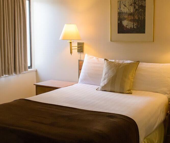 酒店 Driftwood Inn