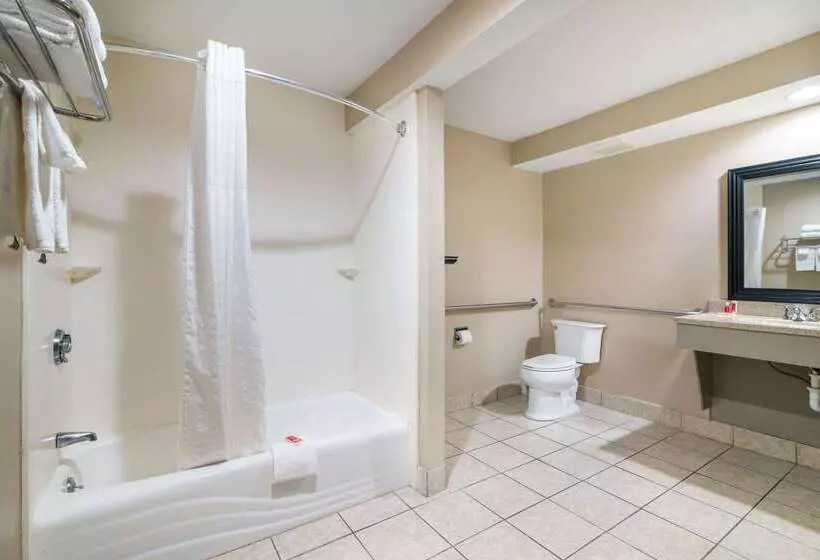 فندق Econo Lodge Bostonmalden