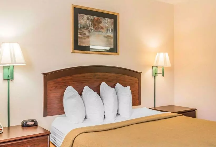 בית מלון כפרי Quality Inn Pell City I20 Exit 158