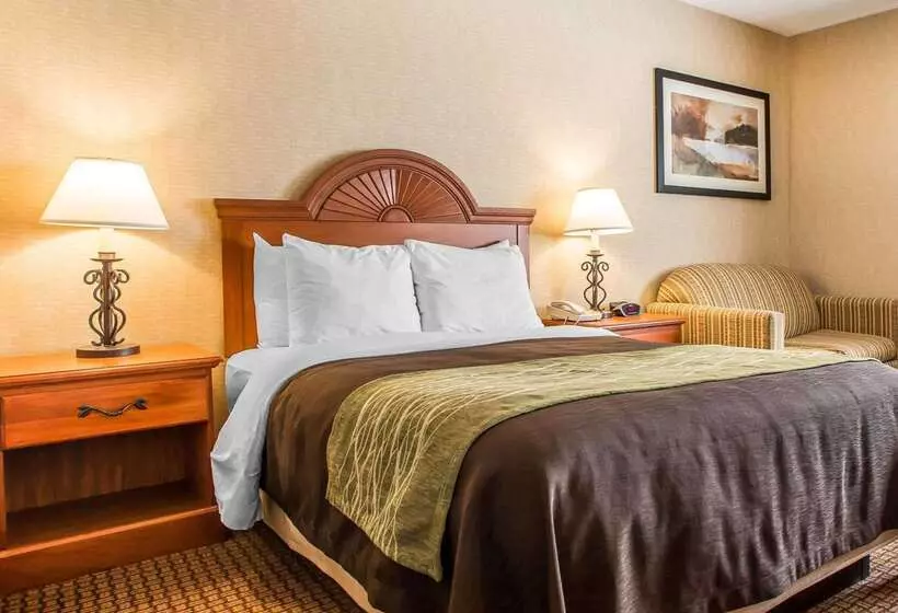 فندق Quality Inn