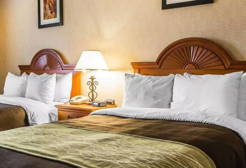 فندق Quality Inn