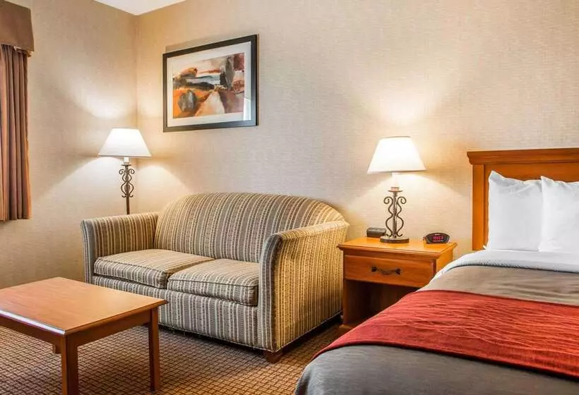 فندق Quality Inn