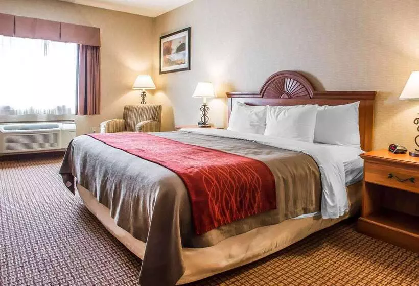 فندق Quality Inn