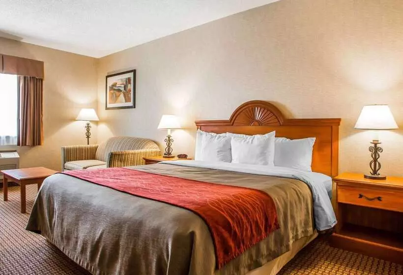 فندق Quality Inn