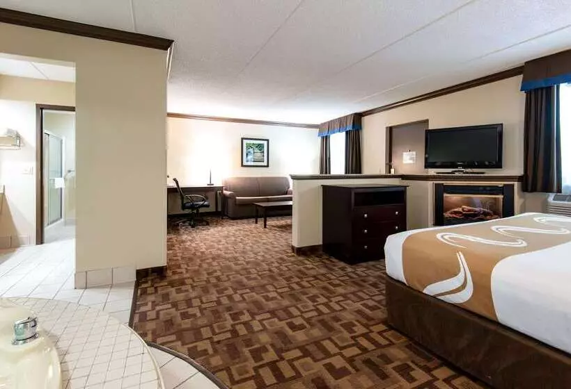 酒店 Quality Inn & Suites Quakertown Allentown